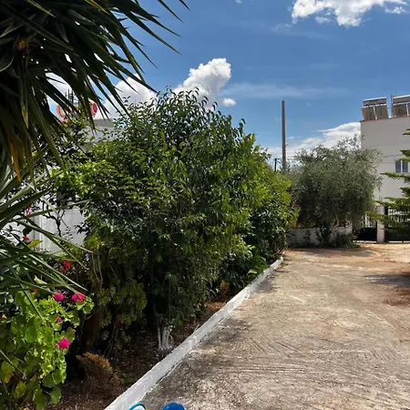 Гостевой дом Andres