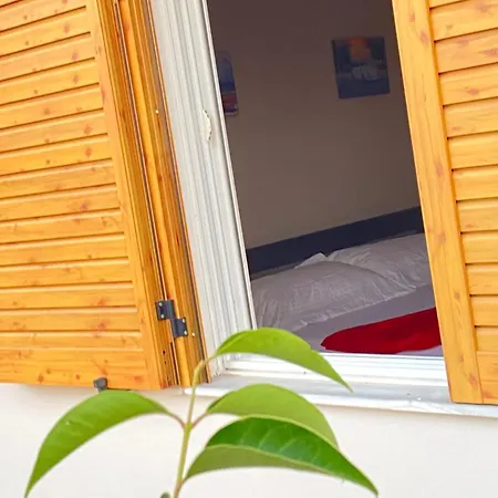 Andres 3* Ксамил