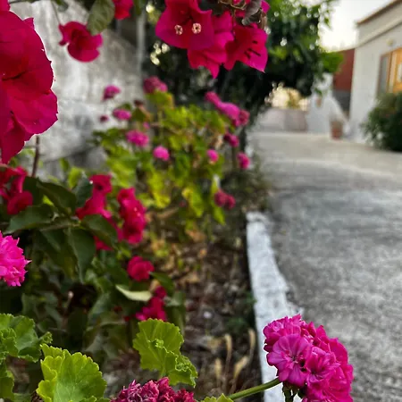 Andres Гостевой дом Ксамил