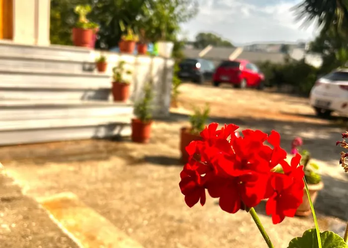 Casa de hóspedes Andres