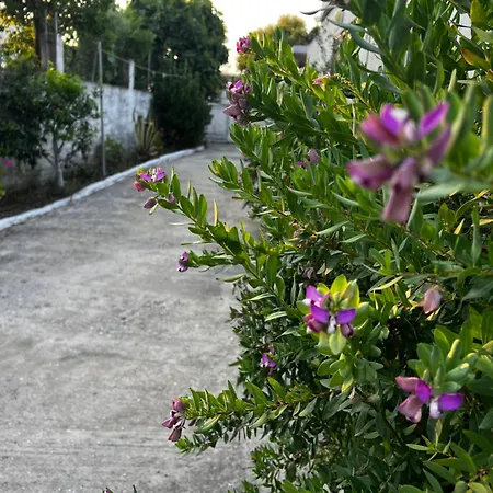 Andres Vendégház Ksamil