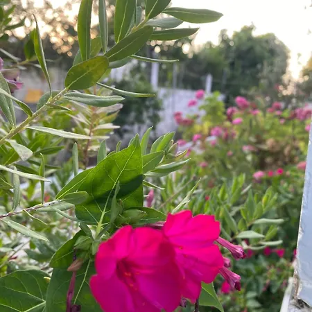 Vendégház Andres Ksamil